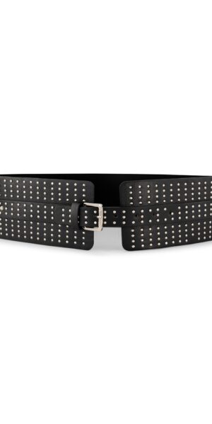 Stun the Scene Waist Belt